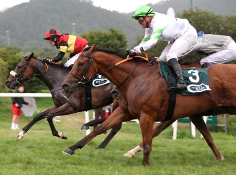 Fünfter Recke-Sieg im Harz: Ardbraccan gewinnt Verkaufsrennen Ardbraccan siegt unter Anna van den Troost