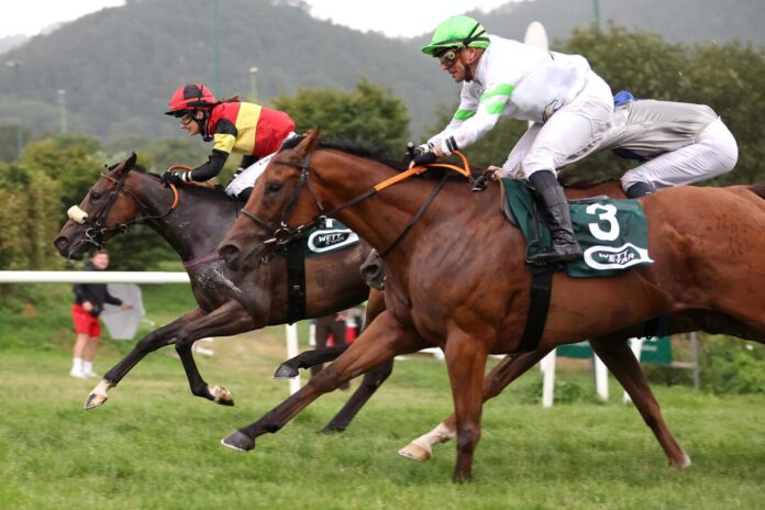 Ardbraccan siegt unter Anna van den Troost