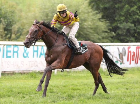 Zweiter Meetingssieg für die Weidlers - Arturo im besten Handicap vorne Arturo siegt unter Anna-Lena Weidler