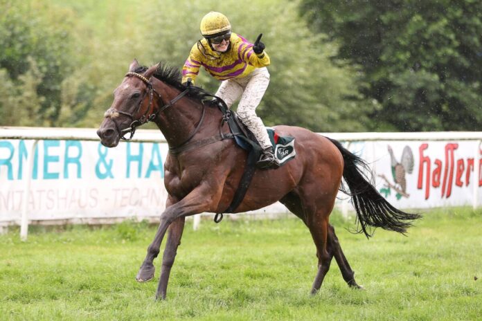 Arturo siegt unter Anna-Lena Weidler