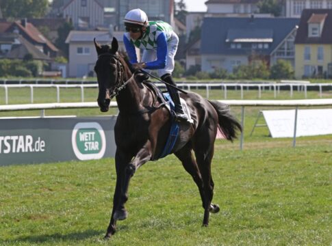 Nächste Gruppesiegerin mit Stallwechsel: Princess Badee bei Helfenbein Princess Badee