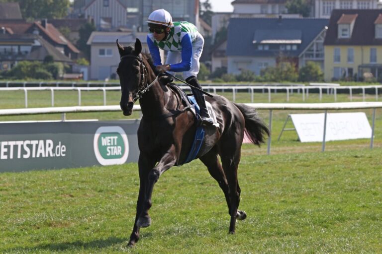 Nächste Gruppesiegerin mit Stallwechsel: Princess Badee bei Helfenbein