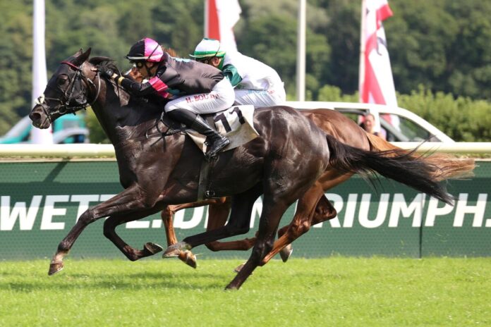 Belisaire siegt unter Hugo Boutin