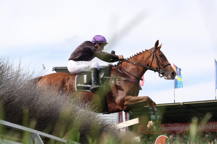 Cabot Cliffs siegt unter Hakim Tebet im Preis des Elektro- und Sanitärhandwerks - Listenrennen