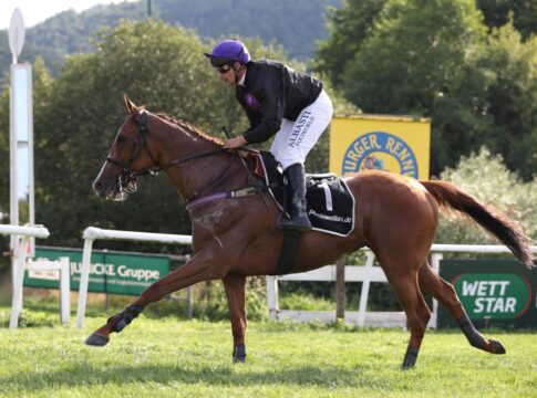 Star-Hürdler Cabot Cliffs im September im 100.000er Cabot Cliffs