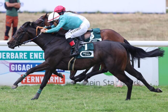 Danylov siegt unter Bayarsaikhan Ganbat