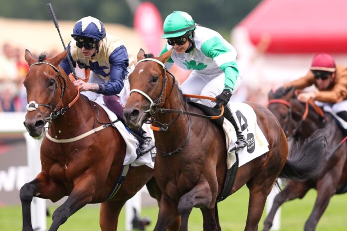 Hochkönig siegt unter Nina Baltromei im IDEE 156. Deutsches Derby Hochkönig siegt unter Nina Baltromei im IDEE 156. Deutsches Derby
