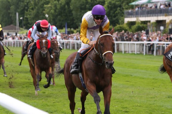 Dragon Magic siegt unter Adrie de Vries im Rudolf-August Oetker-Gedchtnisrennen BBAG-Auktionsrennen