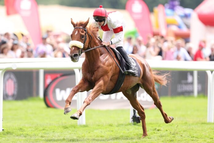 Elano siegt unter Leon Wolf im Hapag Lloyd-Rennen, BBAG-Auktionsrennen