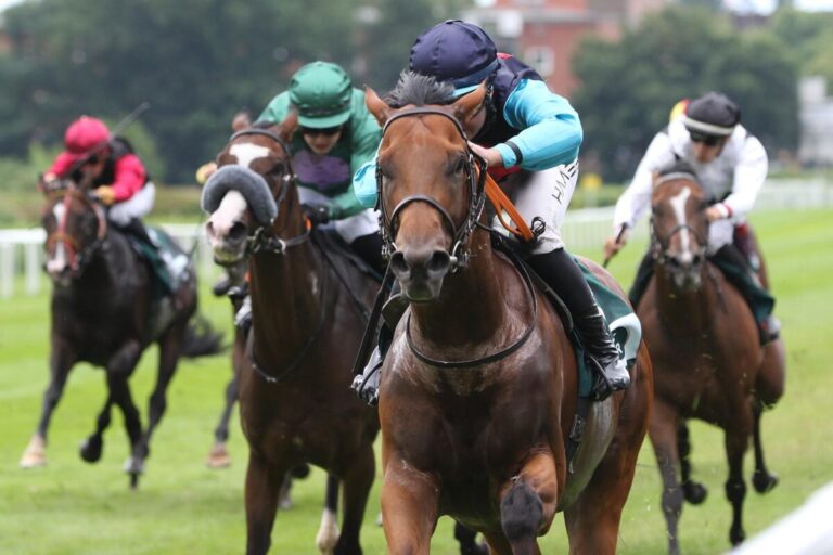 Nach Super-Leistung im Listenrennen: Espero für Vovcenko im Ausgleich I