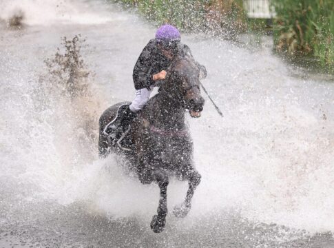 Everglow überrascht Innovante im Seejagdrennen Everglow siegt unter Hakim Tabet im Harzburger Seejagdrennen