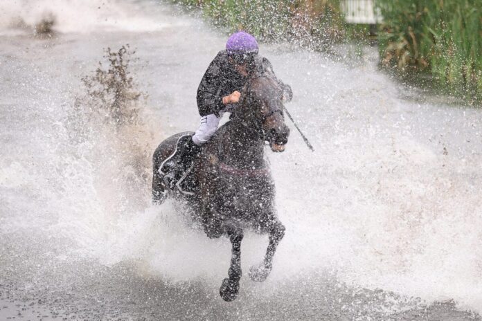 Everglow siegt unter Hakim Tabet im Harzburger Seejagdrennen