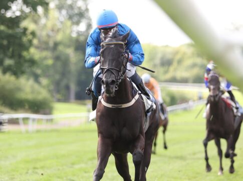 Die Party kann losgehen - Favorite Crime für den Stall Rennbahnfieber Favorite Crime siegt unter Eduardo Pedroza