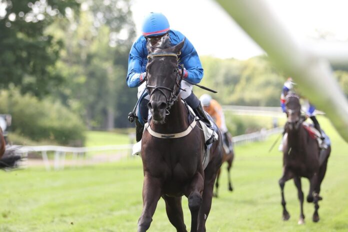 Favorite Crime siegt unter Eduardo Pedroza Favorite Crime siegt unter Eduardo Pedroza