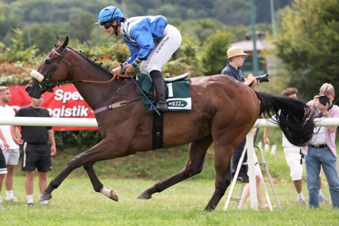 Forsberg siegt unter Anna van den Troost