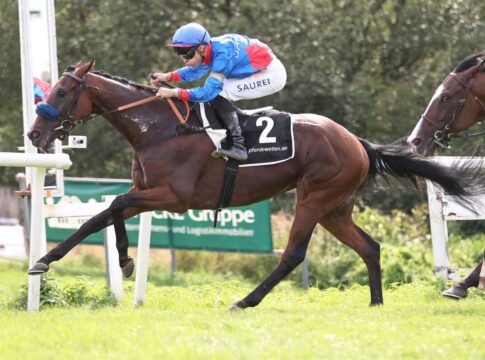 Glady Tiger siegt: „Wenn er glücklich ist, dann zieht er durch“ Glady Tiger siegt unter Thore Hammer-Hansen