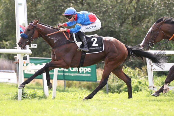 Glady Tiger siegt unter Thore Hammer-Hansen Glady Tiger siegt unter Thore Hammer-Hansen