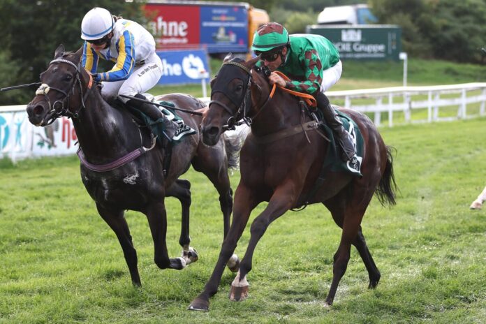 Go Girl Go siegt unter Rene Piechulek Go Girl Go siegt unter Rene Piechulek