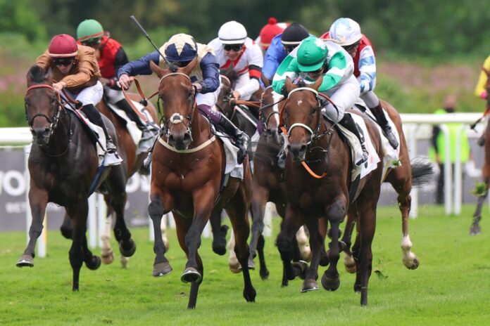Hochkönig siegt unter Nina Baltromei im IDEE 156. Deutsches Derby Hochkönig siegt unter Nina Baltromei im IDEE 156. Deutsches Derby