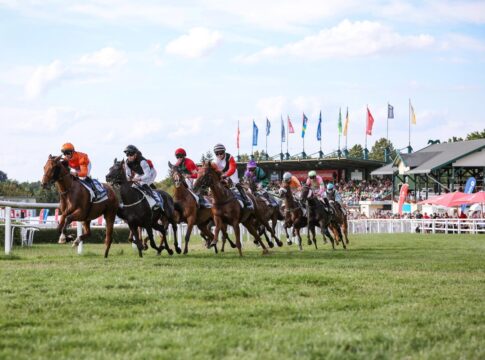 Top-Umsatzbilanz in Bad Harzburg – Plus 6,45 Prozent Galopp in Bad Harzburg