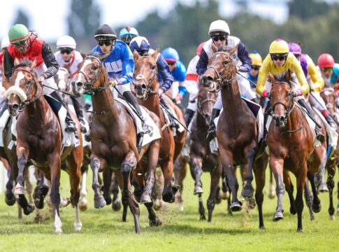 Neunmal Prüfung zum Pferdewirt Fachrichtung Rennreiten bestanden Das Starterfeld im 156. Deutsches Derby, Gr.1