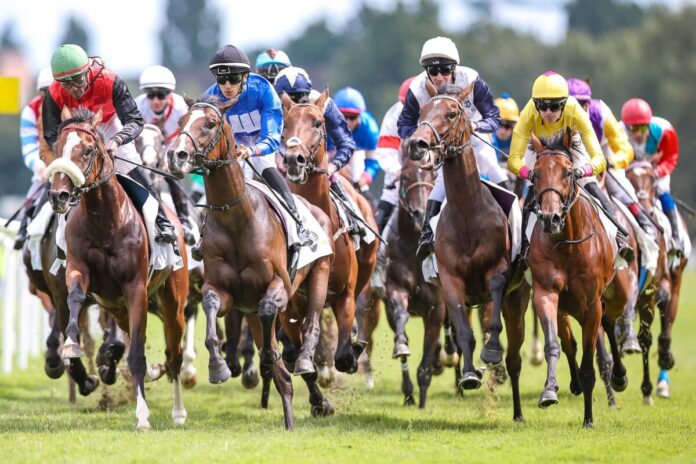 Das Starterfeld im 156. Deutsches Derby, Gr.1