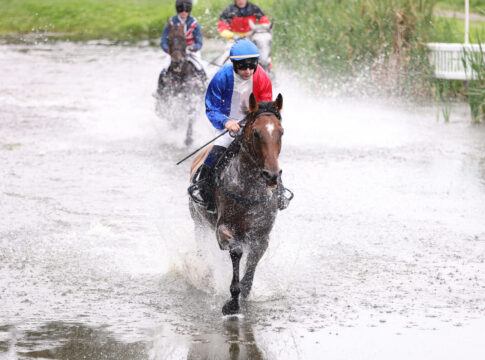 Innovante gewinnt das erste Seejagdrennen Innovante siegt unter Romain Lemiere im Seejagdrennen