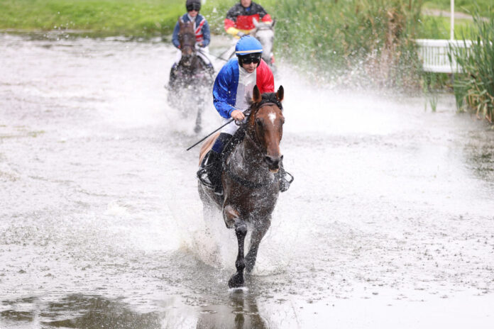 Innovante siegt unter Romain Lemiere im Seejagdrennen