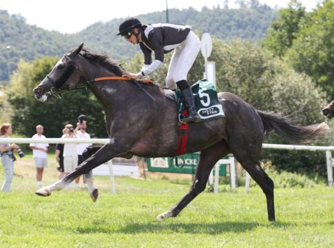 Isla Coiba Weißmeiers erster Meetingssieger im Harz Isla Coiba siegt unter Pablo Werder