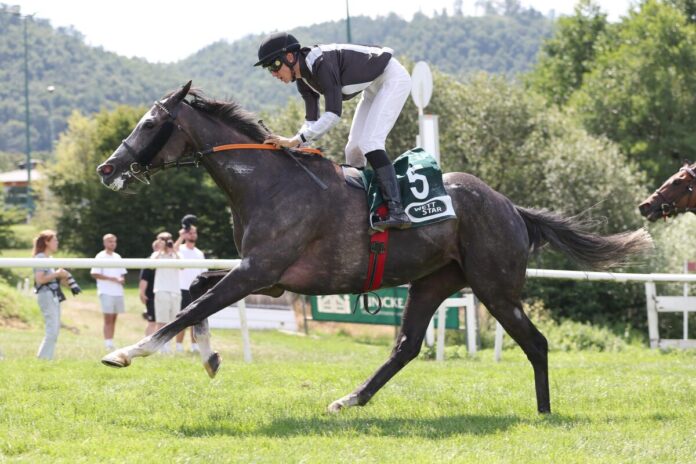 Isla Coiba siegt unter Pablo Werder