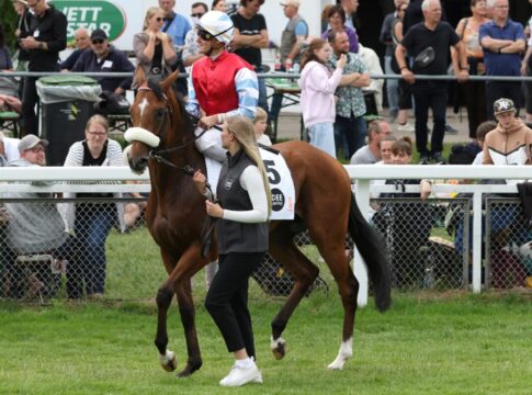 UPDATE: Quest the Moon nachgenannt: Elf im Grossen Dallmayr-Preis Lazio