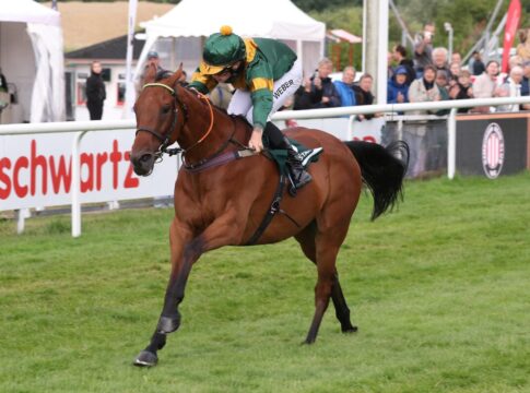 Lusitanien gewinnt Seejagdrennen, das ein "Bumper" war Lusitanien siegt unter Robin Weber