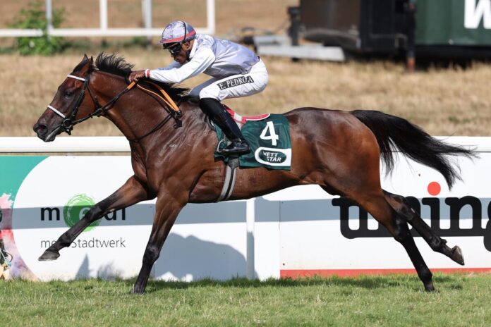 Magadan siegt unter Eduardo Pedroza Magadan siegt unter Eduardo Pedroza