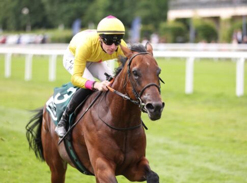 My Universe siegt unter David Liska