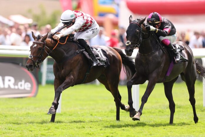 Night Empress siegt unter David Liska