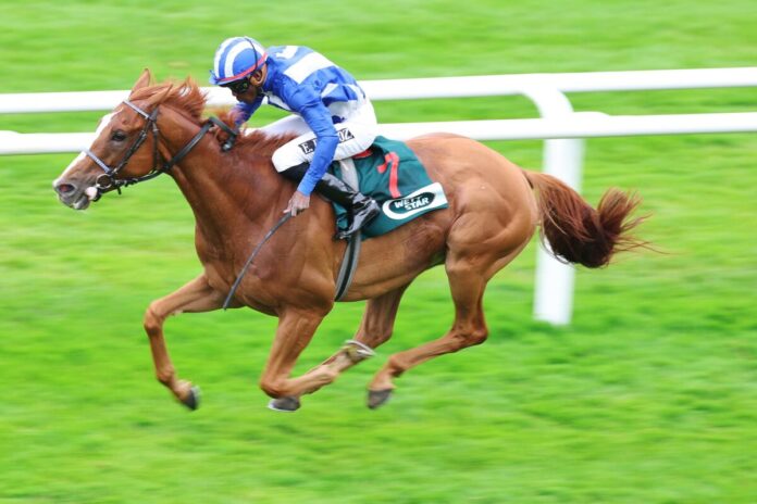 Northern Olympian siegt unter Eduardo Pedroza Northern Olympian siegt unter Eduardo Pedroza