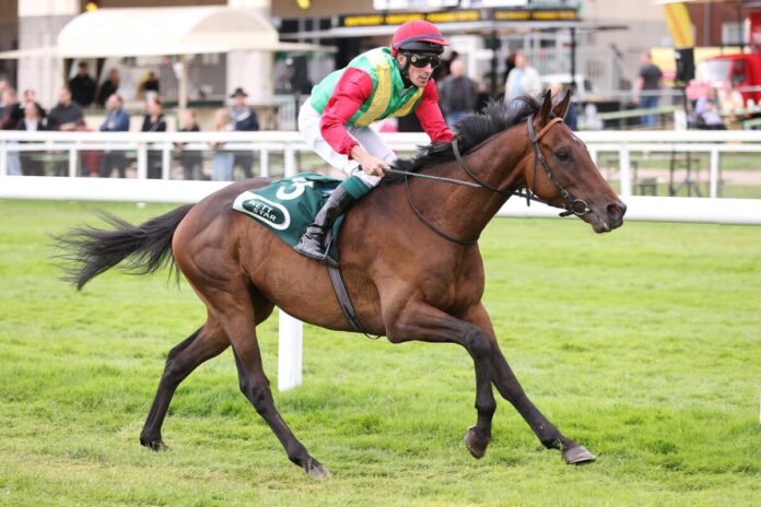 Orkan von Marlow siegt unter Matthew Johnson Orkan von Marlow siegt unter Matthew Johnson