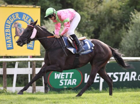 Raike im Viererwetten-Rennen mit zweitem Harzburg-Sieg Raike siegt unter Pablo Werder