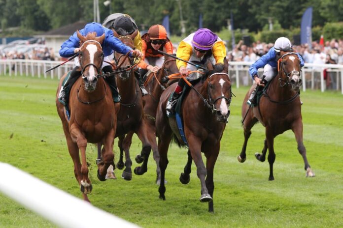 Santagada siegt unter Andrasch Starke im Japan Racing Association Trophy Hamburger Stuten Meile, Gr.3