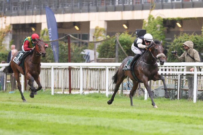 Son of England siegt unter David Liska Son of England siegt unter David Liska