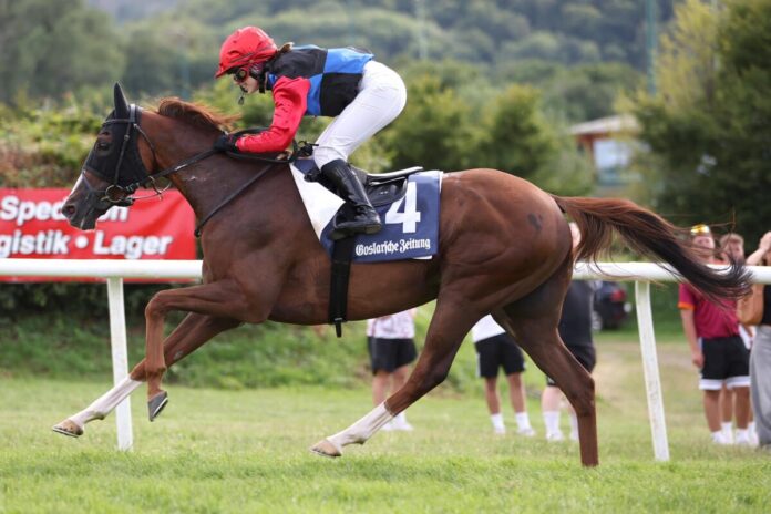 Statement siegt unter Marissa Potters