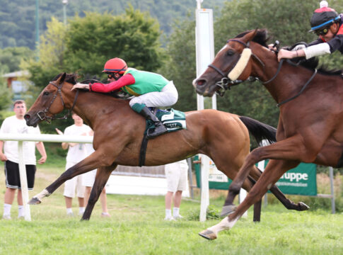 Favoritin Summerwind im letzten Flachrennen vorne Summerwind siegt unter Matthew S. Johnson