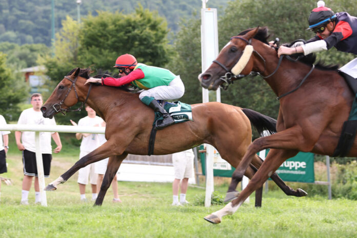 Summerwind siegt unter Matthew S. Johnson