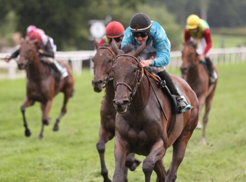 Tex Lot letzte Flachsiegerin des Harzburger Meetings Tex Lot siegt unter Lilli-Marie Engels