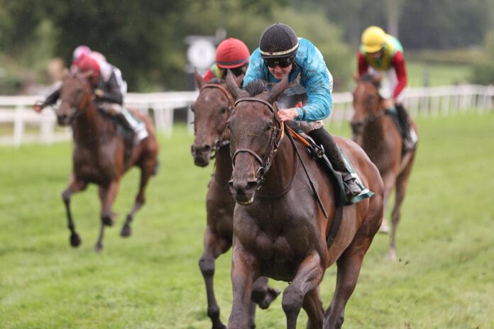 Tex Lot siegt unter Lilli-Marie Engels