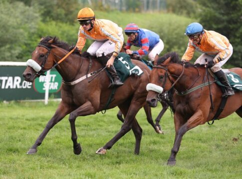 Na klar - Fuhrmann-Viererwette im Fliegerhandicap Tommorah siegt unter Robin Weber