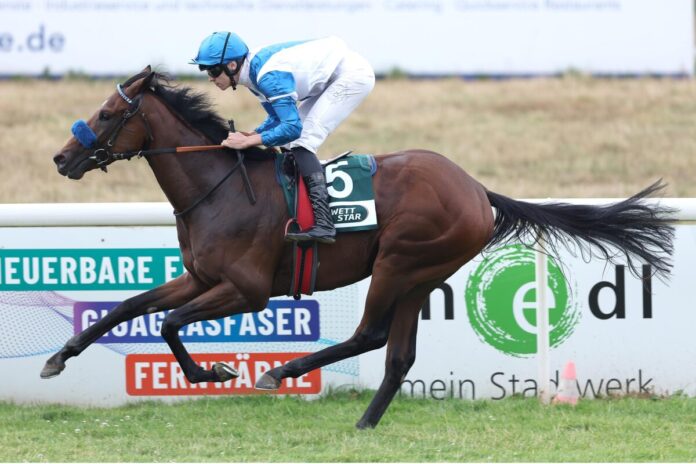 Voitton siegt unter Leon Wolff Voitton siegt unter Leon Wolff