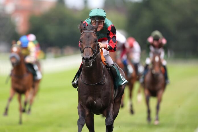 Windfang siegt unter Martin Seidl