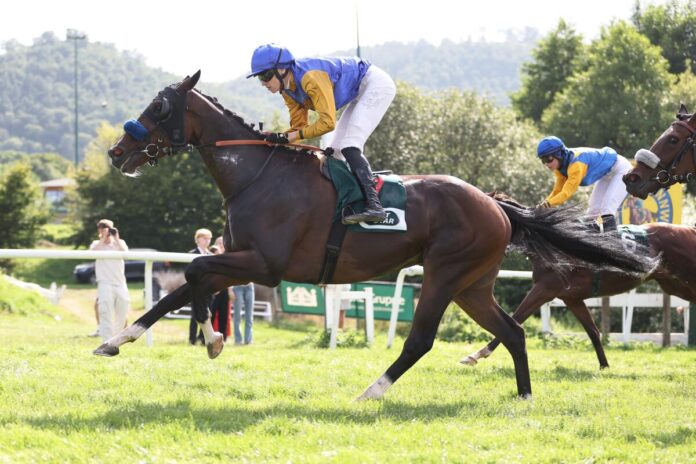 Warren Hill siegt unter Leon Wolff im BBAG-Auktionsrennen Warren Hill siegt unter Leon Wolff im BBAG-Auktionsrennen