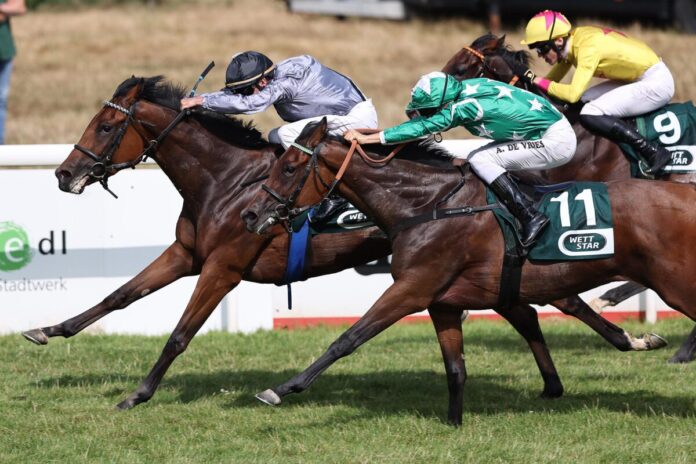 Winnyzja siegt unter Andrasch Starke im BBAG Diana Trial Winnyzja siegt unter Andrasch Starke im BBAG Diana Trial